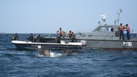 Tim penyelamat dari Departemen Satwa Liar dan Angkatan Laut Sri Lanka berupaya menyelamatkan kedua gajah itu. Sri Lanka Navy