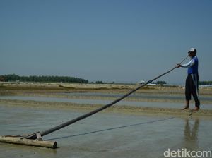 Begini Cara Pemerintah Atasi Kelangkaan Garam