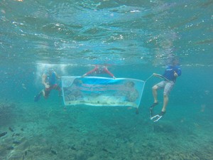 Cara Susi Selamatkan Stok Mutiara di Laut RI