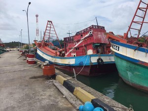 Susi: Tidak Ada Arahan Presiden Melelang Kapal Pencuri Ikan