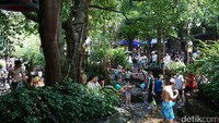 Para wisatawan lokal ini tak hanya berasal dari Chengdu saja, tetapi dari berbagai daerah lain di China. Ada yang datang dari kota besar lain seperti Beijing, dan juga yang lainnya (Wahyu/detikTravel)