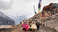 Tentunya traveler yang mau menjajal Kishtwar Road, harus siap stamina dan mental. Kendarai mobil dengan benar dan fokus selama perjalanan. Jangan lupa beristirahat sejenak, untuk meregangkan otot dan pikiran (Himanshu Khagta/BBC)