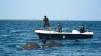 Tiga kapal patroli dari Angkatan Laut Sri Lanka dikerahkan dalam penyelamatan di sepanjang pantai Trincomale. Sri Lanka Navy/CNN