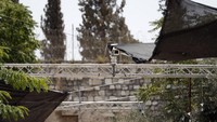 Penampakan kamera CCTV yang baru dipasang Israel di Lions Gate, pintu masuk utama kompleks Masjid Al-Aqsa. AFP PHOTO/AHMAD GHARABLI