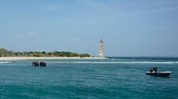 Tim penyelam berhasil mengarahkan kedua gajah itu kembali ke daratan dengan selamat. Sri Lanka Navy/CNN