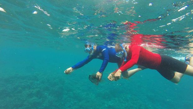  Selamatkan Stok Mutiara di Laut RI