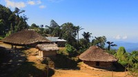 Walau sudah masuk dalam masa modern, kita masih bisa menemukan rumah-rumah penduduk yang masih tradisional. Beratap jerami yang berbentuk jamur dan berdinding bambu menunjukan ciri khas Suku Konyak. Hanya ini sisa peradaban Si Pemburu Kepala! (Neelima Vallangi/BBC)