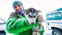 Foto: Tak hanya penduduk setempat, turis yang sedang hamil pun disarankan untuk tidak datang ke Svalbard (Bas van Oort/BBC Travel)