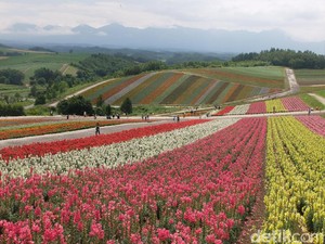 Lomba Nulis Ngabuburit Bisa Libur Lebaran ke Hokkaido, Ayo Ikutan!
