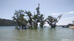 Foto: Perawan Cantik di Ujung Barat Indonesia