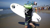 Dengan santai pemilik anjing menggendong anjingnya yang siap untuk berkompetisi. Tak ketinggalan anjing memakai baju pantai yang lucu! (Lucy Nicholson/Reuters)