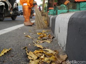 Foto: Melihat Kerja Pasukan Oranye dkk yang Disebut Malas-malasan