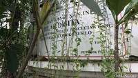 Ternyata plang Telah Disita itu tersembunyi di balik daun-daun tiga pohon kamboja yang diletakkan di depan rumah. Foto: Toriq/detikcom