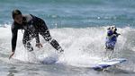 Foto: Ketika Anjing Main Surfing, Lucu Banget..