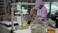 Dalam ruang berdinding kaca, sejumlah perempuan nampak sibuk meracik cairan lavender yang sudah diproses ekstraksi (Baban/detikTravel)