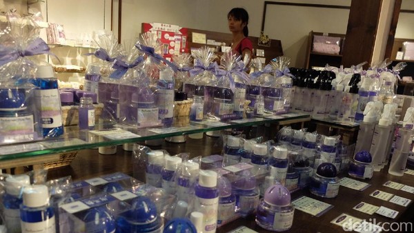 Bahan baku batang lavender beraroma khas dimurnikan hasilnya lalu diolah jadi parfum, sabun, aroma terapi dan lainnya (Baban/detikTravel) Bahan baku batang lavender beraroma khas dimurnikan hasilnya lalu diolah jadi parfum, sabun, aroma terapi dan lainnya (Baban/detikTravel)