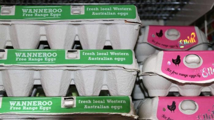 Jual Telur Organik Palsu, Perusahaan Australia Didenda Hampir Rp 10 M