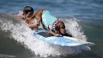 Foto: Ketika Anjing Main Surfing, Lucu Banget..