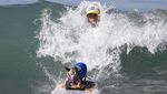 Foto: Ketika Anjing Main Surfing, Lucu Banget..