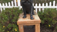 Beralih ke Kota Sunol di California, para wisatawan akan melihhat sebuah patung dengan jenis Labrador hitam. Anjing ini adalah mantan Wali kota Sunol yang bernama Bosco Ramos. Bosco berhasil naik ke kursi Wali kota pada tahun 1981 dan memimpin selama 13 tahun (jasonfrommichigan/Instagram)