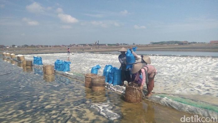 Lahan garam/Foto: Wikha Setiawan/detikcom Lahan garam/Foto: Wikha Setiawan/detikcom