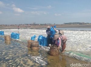 Bahas Lahan Garam 225 Ha, Luhut Panggil Bupati Kupang