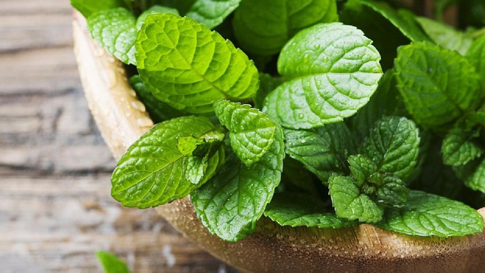 Peppermint Green fresh mint om the wooden table, selective focus