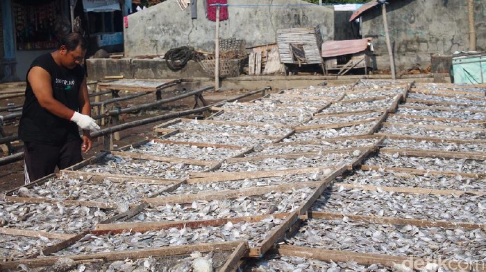 Produsen Ikan Asin Jepara Kesulitan Mendapatkan Garam