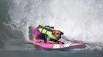 Foto: Ketika Anjing Main Surfing, Lucu Banget..