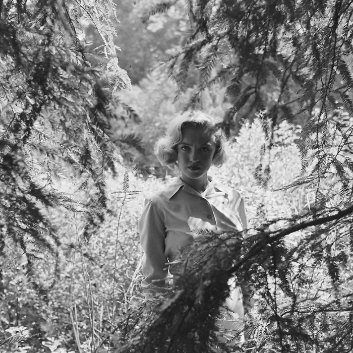 foto Marilyn Monroe di hutan karya fotografer Ed Clark.