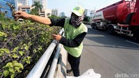 Petugas melakukan perawatan pada bungan yang ditanam di Flyover Matraman.