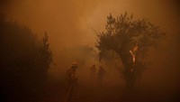 Pemadam kebakaran berusaha memadamkan kebakaran hutan di Desa Carvoeiro di Portugal (Foto: REUTERS/Rafael Marchante)