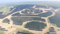 Bukan cuma wajah, panel tenaga solar juga membentuk tubuh panda (Foto: Panda Green Energy Group/Handout via REUTERS)