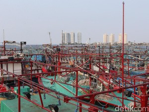 KKP: Cantrang Sudah Selesai, Tak Boleh Dipakai Mulai Tahun Depan!