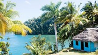 Diapit oleh pohon bakau, pohon palm, pakis, bromeliad, nanas dan kakao, siapa yang bisa menolak suguhan indah ini? (Tanveer Badal/BBC)