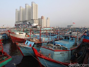 Tak Ada Lagi Cerita Pelonggaran Alat Tangkap Cantrang
