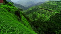 Western Ghats ini membentang sepanjang 1.600 Km dari Pantai Barat India, negara bagian Gujarat ke daerah selatan Kerala (Thinkstock)