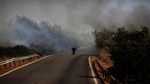 Foto: Aksi Pemadaman Kebakaran Hutan di Berbagai Belahan Dunia