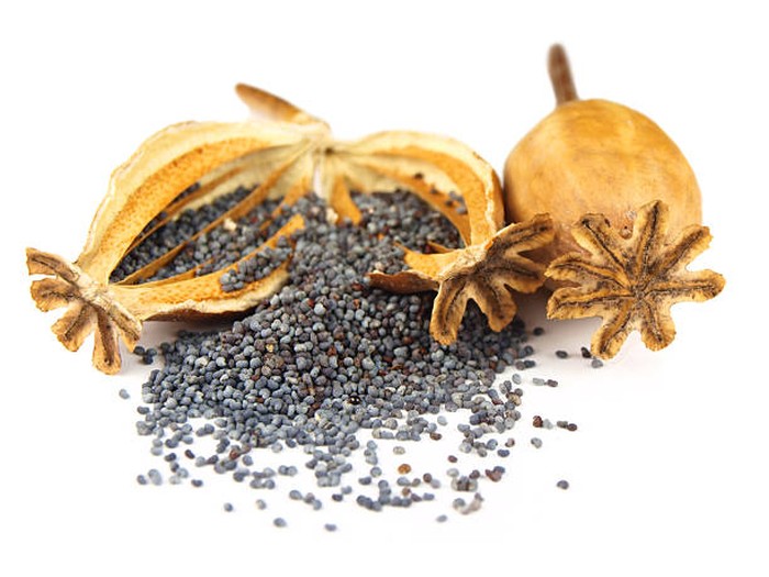 Foto: iStock Foto: iStock