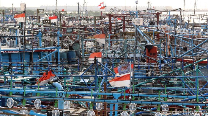 Pemerintah tengah mengkaji penggunaan penangkap ikan yang merusak lingkungan. Pelarangan cantrang ini terus menuai pro kontra.
