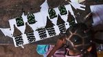 Foto: Kupu-kupu Cantik di Afrika yang Diburu