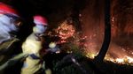 Foto: Aksi Pemadaman Kebakaran Hutan di Berbagai Belahan Dunia