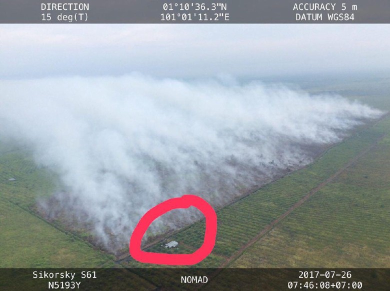 KLHK: Lahan Dibakar di Riau Milik Pabrik Kertas yang Izinnya Dicabut KLHK: Lahan Dibakar di Riau Milik Pabrik Kertas yang Izinnya Dicabut