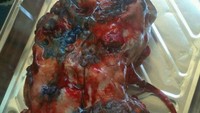 Cakes by Victoria membuat demonstrasi ginjal yang sedang terkena infeksi atau alami gangguan. Berbentuk mirip seperti kacang merah besar, cake ginjal ini dibaut dengan sedikit bulatan berwarna gelap yang menandakan ginjal tersebut sudah rusak. Seram! (Foto: Istimewa)