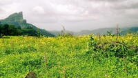 Bisa dikatakan sulit menjangkau hutan Western Ghats, karena banyak bebatuan licin. Terdapat suatu kawasan hutan yang dihuni oleh Suku Ahupe dan disakralkan (Thinkstock)