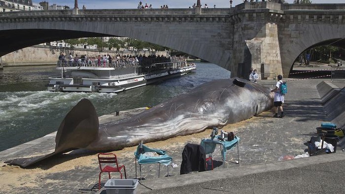 Jangan Kaget.. Ini Bukan Paus Terdampar Tapi Patung