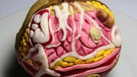Bicara soal payudara, cake yang satu ini tidak terlihat seperti payudara yang bulat dengan putih utuh. Akan tetapi cake ini mirip seperti organ contoh yang sering ditemukan dalam lab kedokteran. Dibuat oleh Lou Lou Ps Delights, cake ini dibuat khusus untuk memperingati Vreast Cancer Awareness Month. (Foto: Istimewa)