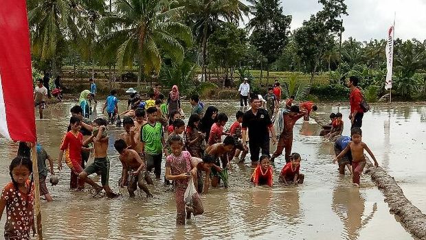 Anak-anak saling berebut lele di sawah