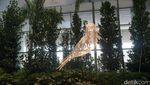 Foto: Terminal 4 Bandara Changi yang Baru, Keren Deh!