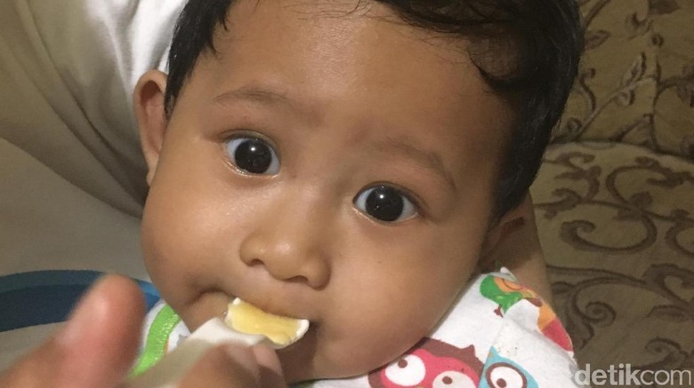 MPASI untuk anak/ Foto: dok.HaiBunda MPASI untuk anak/ Foto: dok.HaiBunda